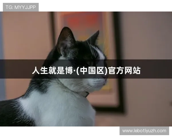 尊龙凯时人生就是搏：探索游戏中的策略与人生哲学的完美结合