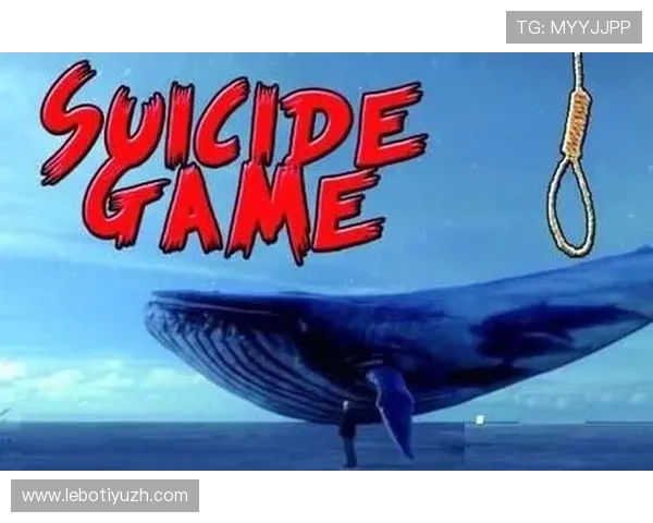 蓝鲸官网下载入口及详细操作流程，确保玩家顺利体验蓝鲸游戏的全部精彩内容