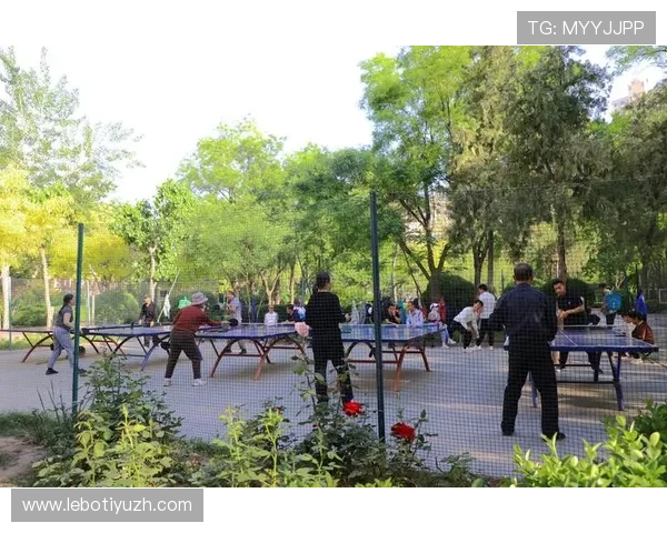 风云体育旗舰平台：打造全民健身新生态的最佳选择与全面解析